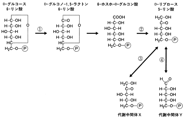解説画像